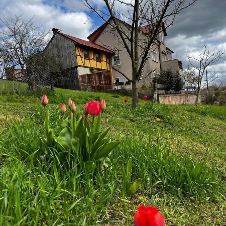 Ferienwohnung Makowitschka Kreischa Esterno foto