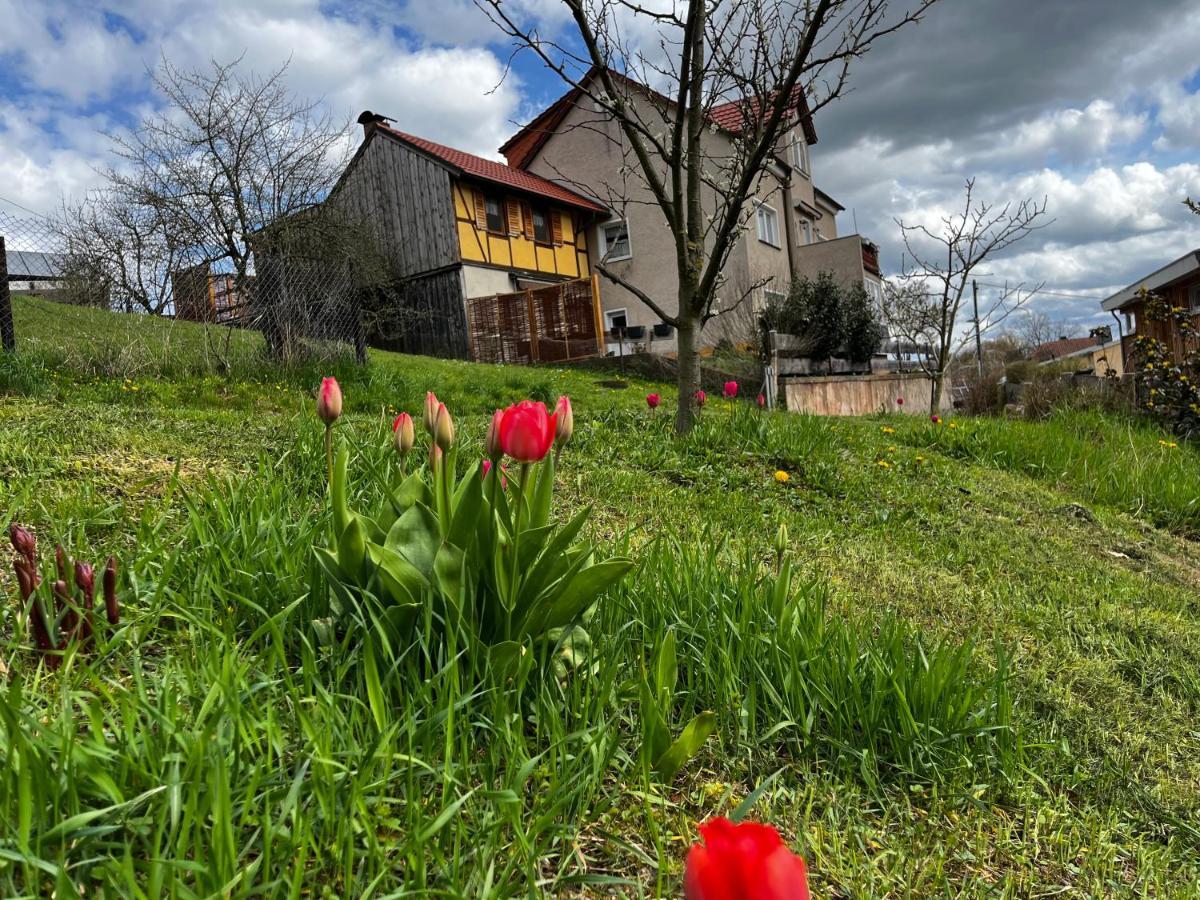 Ferienwohnung Makowitschka Kreischa Esterno foto